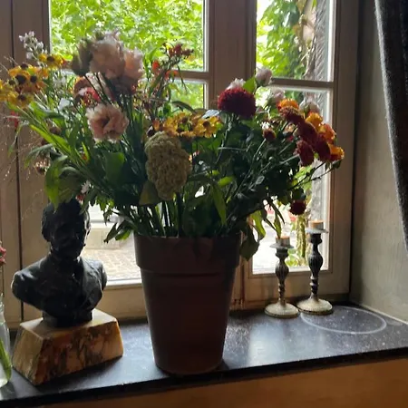 Edouard Garden Cafe Guest