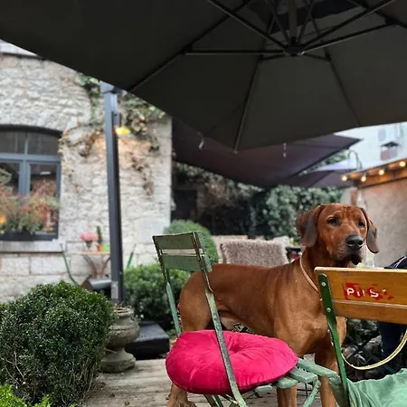 Bed & Breakfast Edouard Garden Cafe Guest *