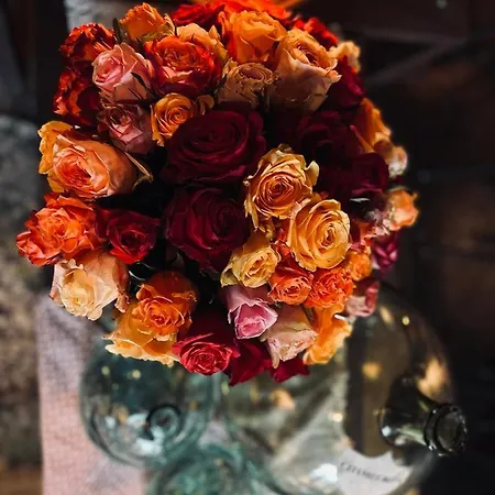 ベッド・アンド・ブレックファスト Edouard Garden Cafe Guest 3*