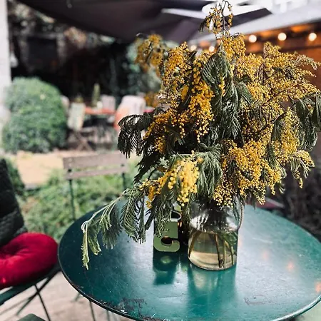 édouard Garden Café Guest *