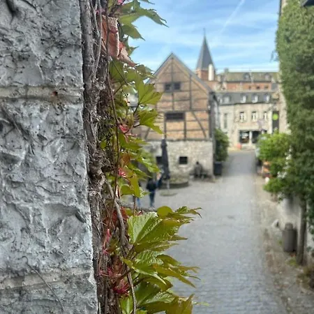 ベッド・アンド・ブレックファスト Edouard Garden Cafe Guest デュルビュイ