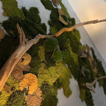 ベッド・アンド・ブレックファスト Edouard Garden Cafe Guest 3*