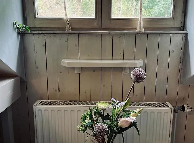 édouard Garden Café Guest