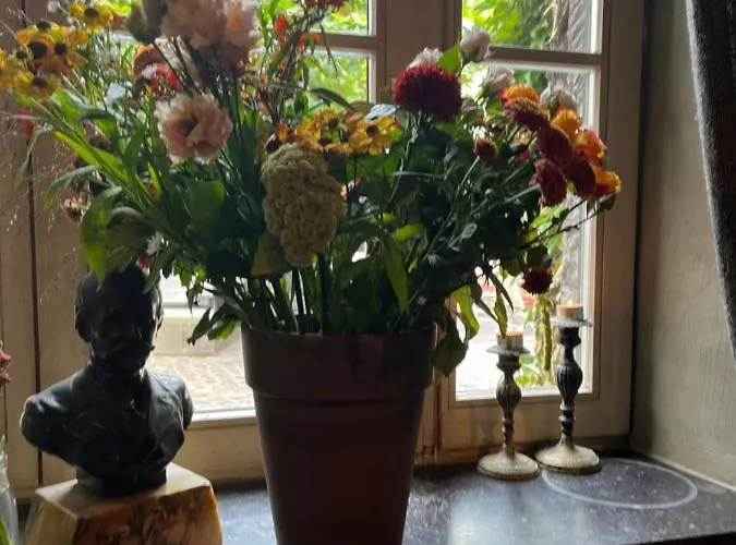 édouard Garden Café Guest