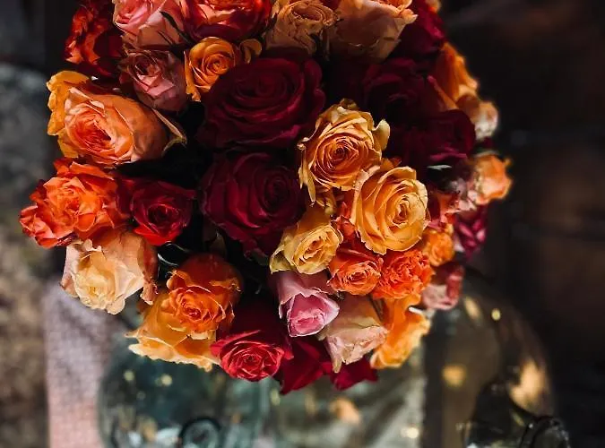 Bed & Breakfast édouard Garden Café Guest 3*