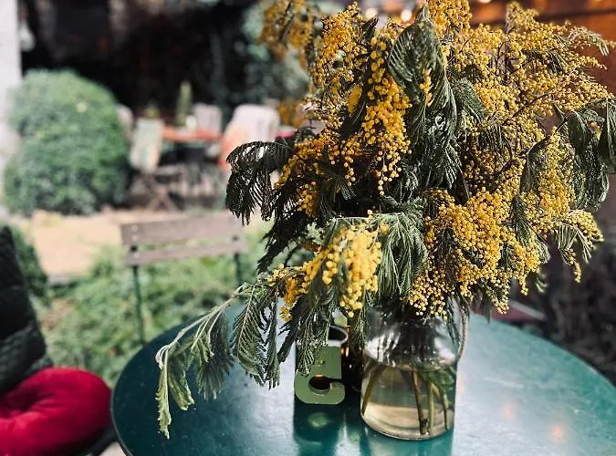 édouard Garden Café Guest 3*